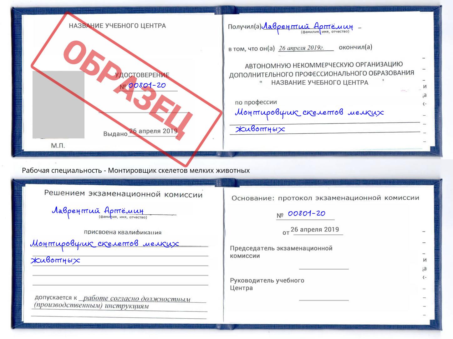 Монтировщик скелетов мелких животных Мценск
